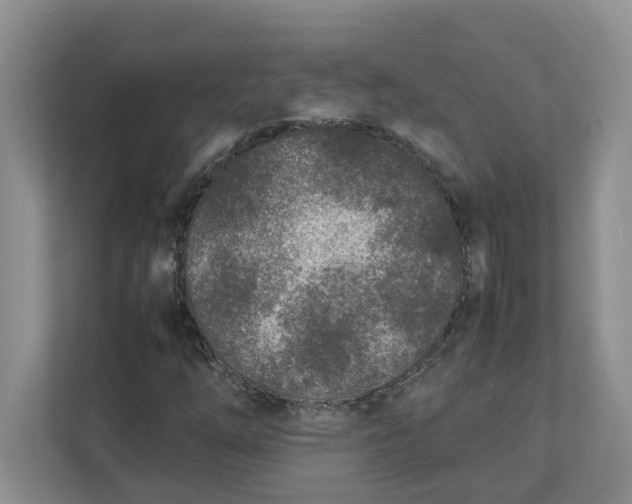 X0000111851254200908131432