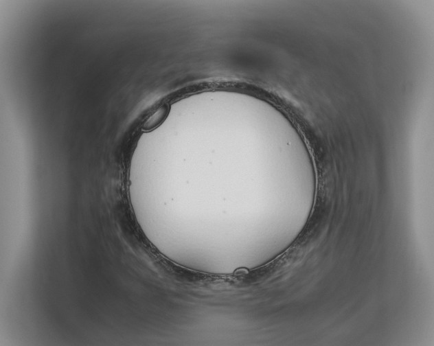 X0000111851255200908131432