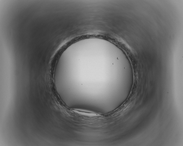 X0000111851256200908131432