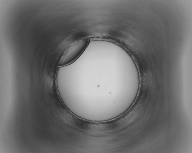 X0000111851257200908131432