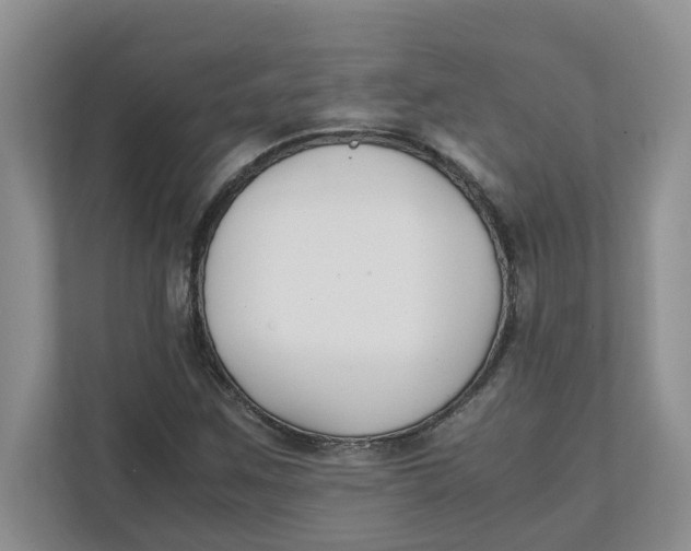 X0000111851259200908131432