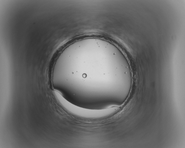 X0000111851261200908131432