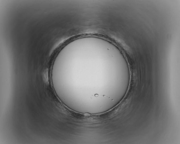 X0000111851262200908131432