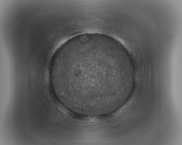 X0000111851263200908131432