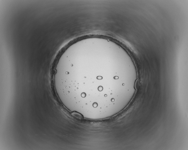 X0000111851264200908131432