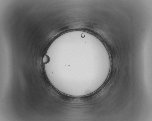 X0000111851265200908131432