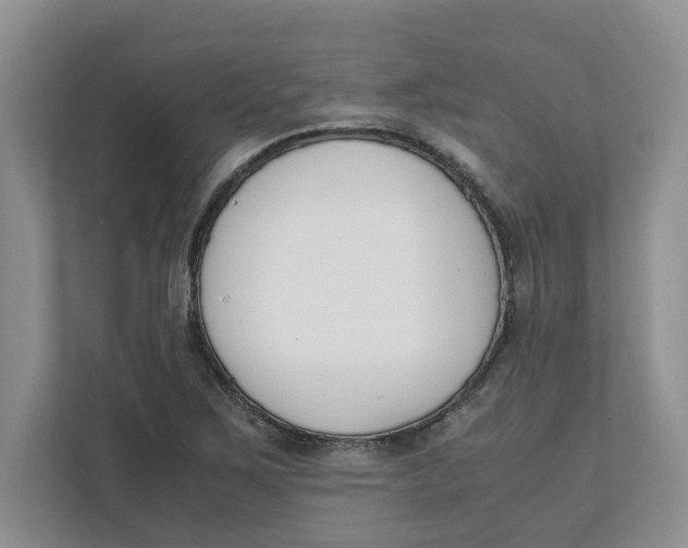 X0000111851267200908131432