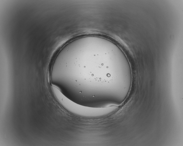 X0000111851269200908131432