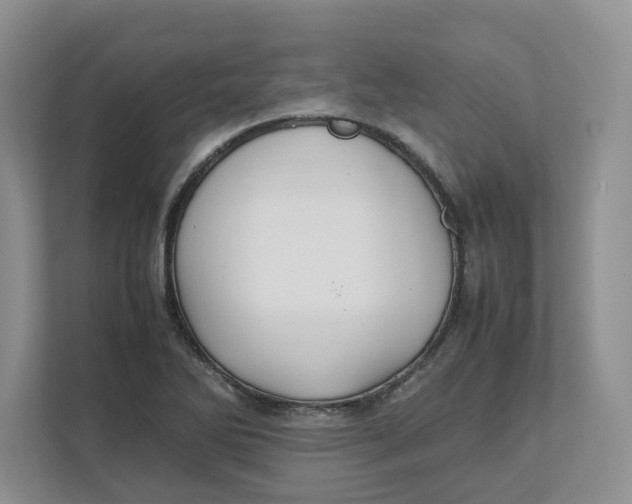 X0000111851270200908131432