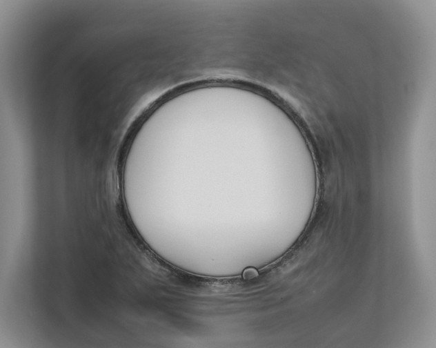 X0000111851271200908131432