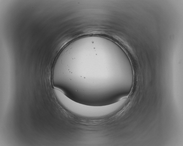 X0000111851273200908131432