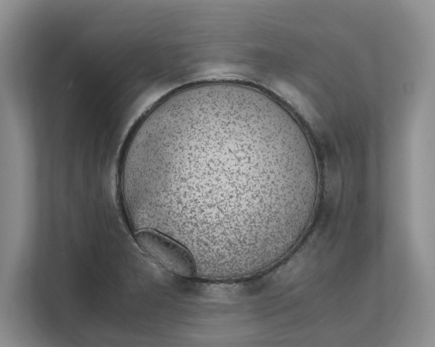 X0000111851277200908131431