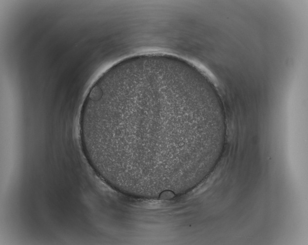 X0000111851279200908131431