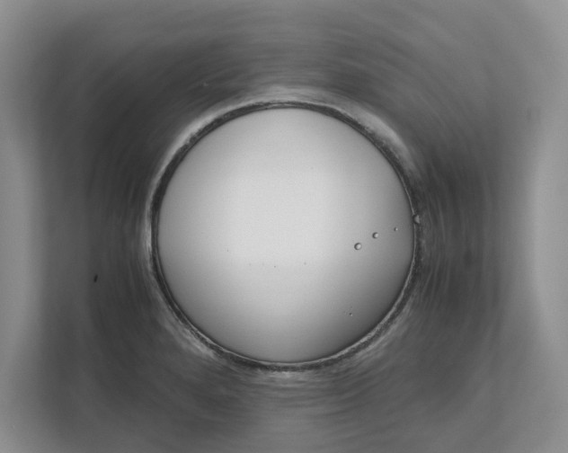 X0000111851280200908131431