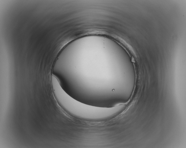 X0000111851281200908131431