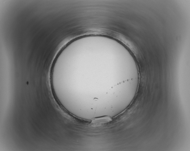 X0000111851283200908131431