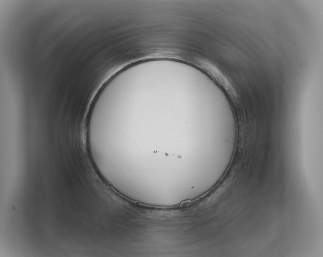 X0000111851284200908131431