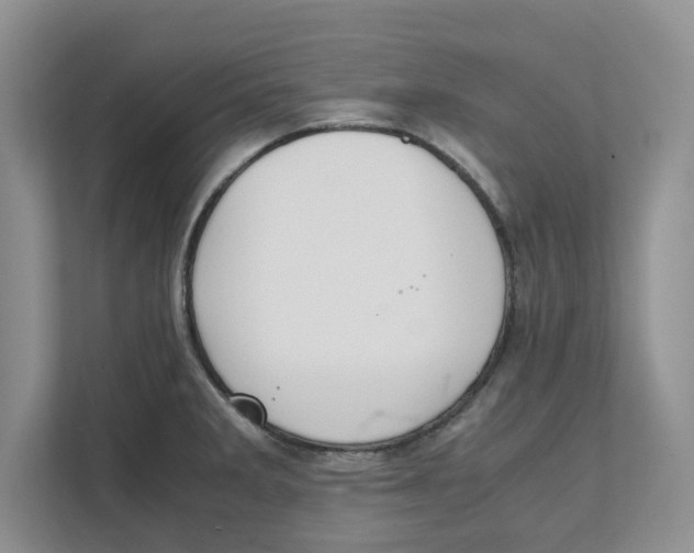 X0000111851285200908131431