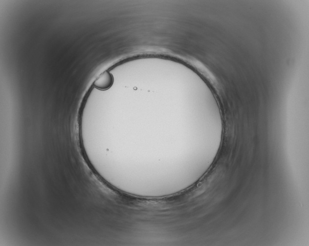 X0000111851287200908131431