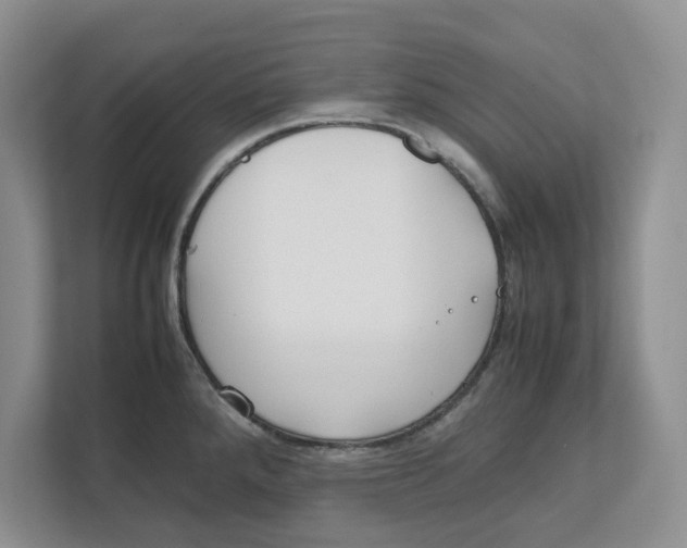 X0000111851288200908131431