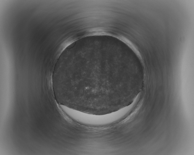 X0000111851289200908131431