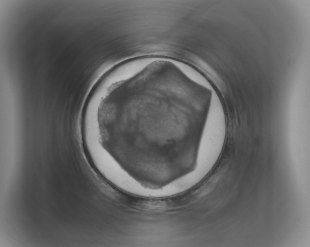 X0000111851291200908131431