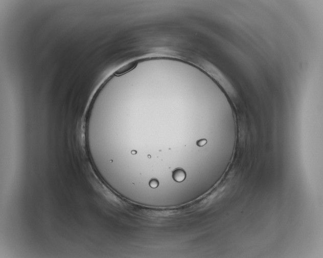 X0000111851292200908131431