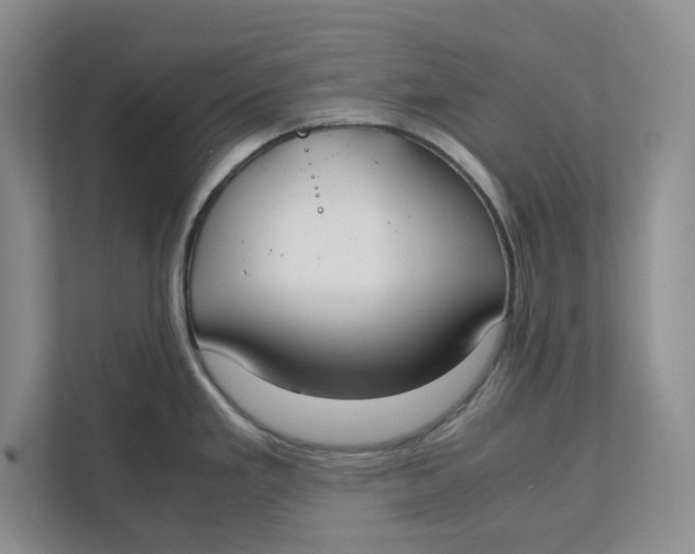 X0000111851293200908131431