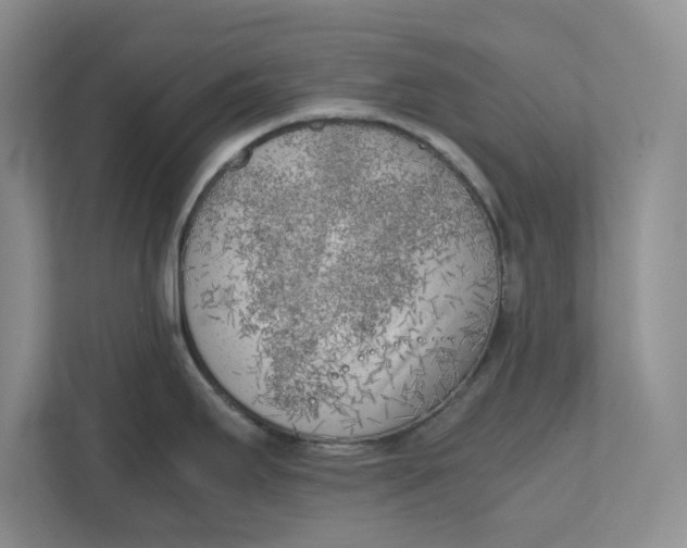 X0000111851295200908131431