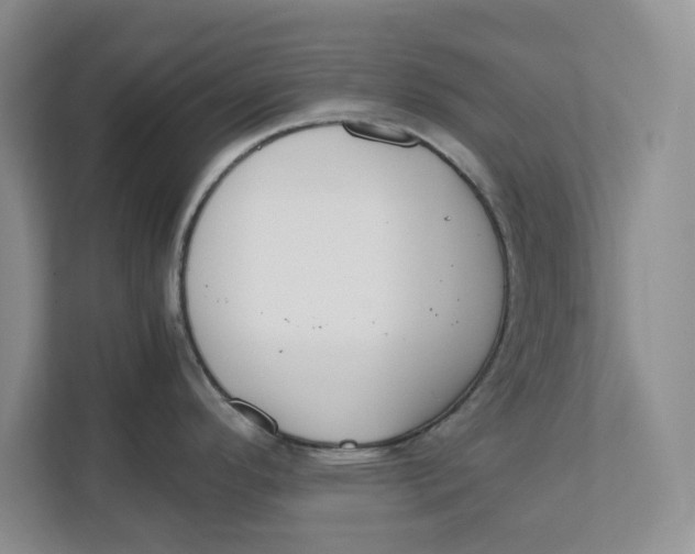 X0000111851296200908131431