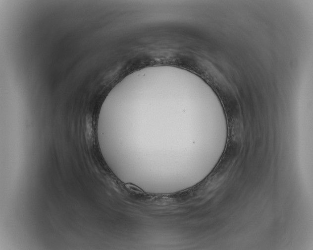 X0000111851298200908131431