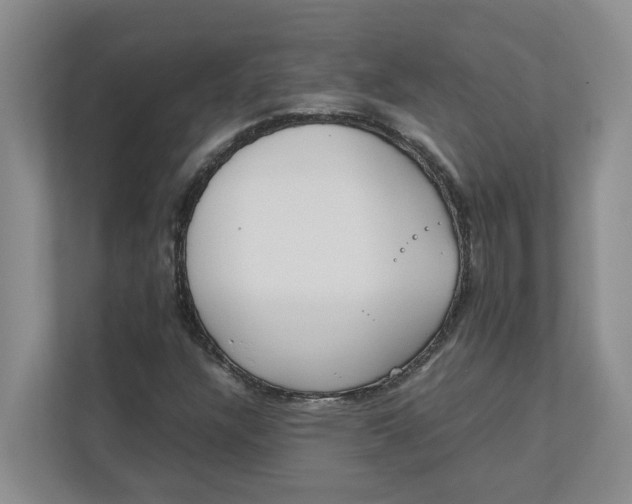 X0000111851304200908131431