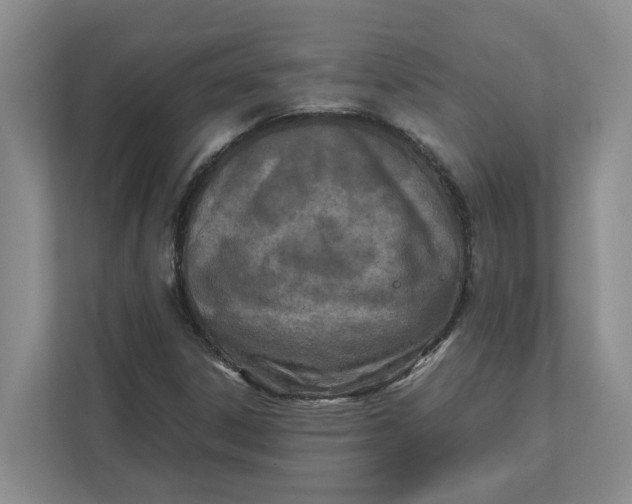 X0000111851306200908131431