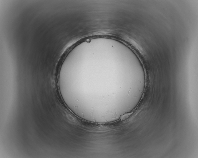 X0000111851308200908131431