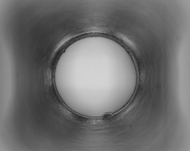 X0000111851310200908131431