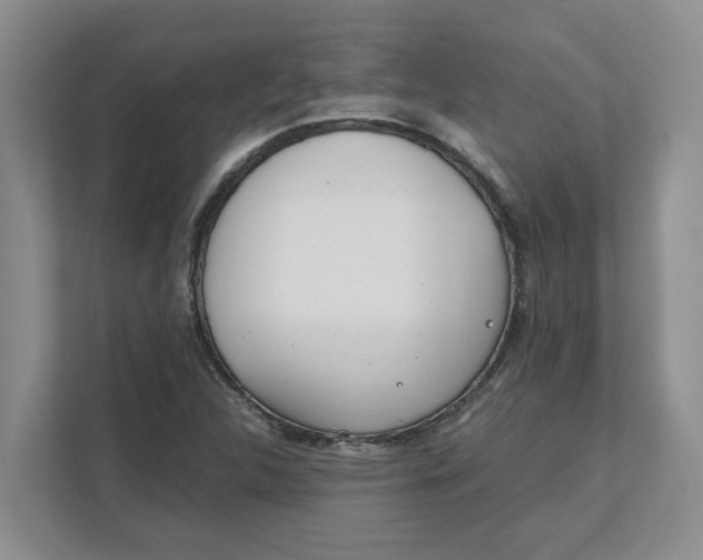 X0000111851312200908131431