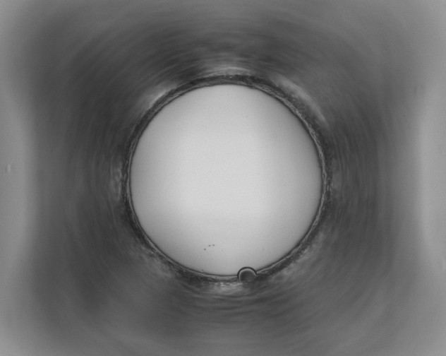 X0000111851313200908131431