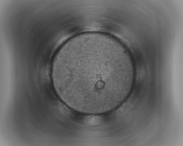 X0000111851314200908131431