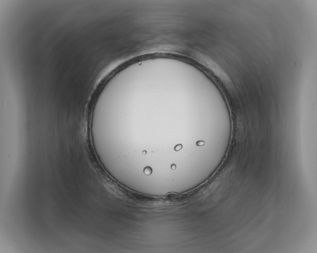 X0000111851316200908131431