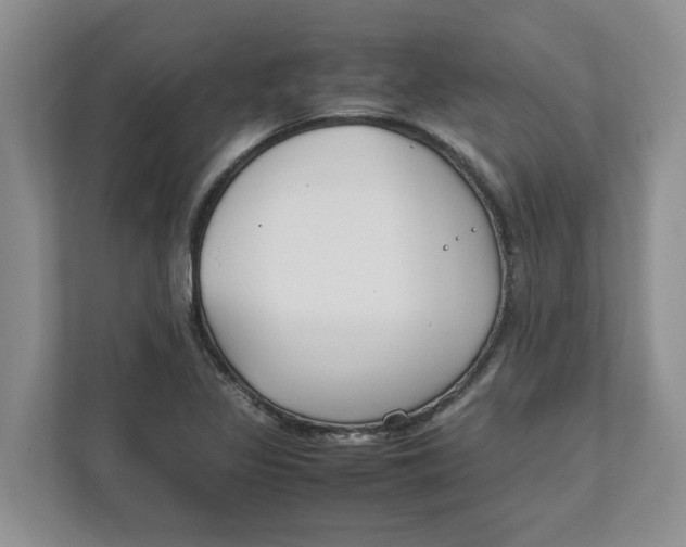 X0000111851317200908131431