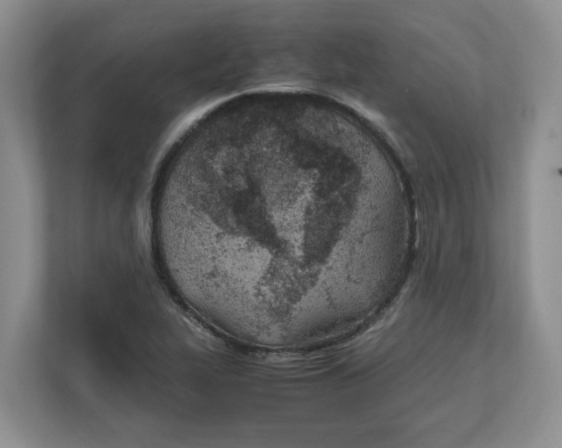 X0000111851319200908131431