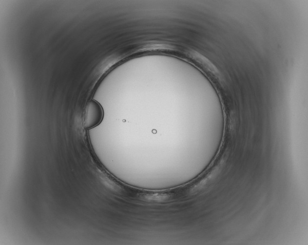 X0000111851321200908131431