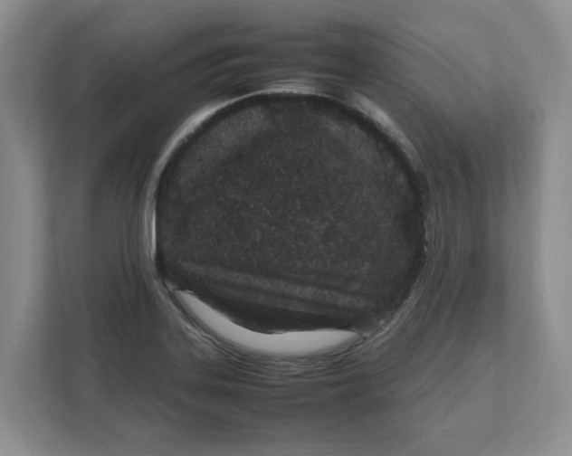 X0000111851323200908131431