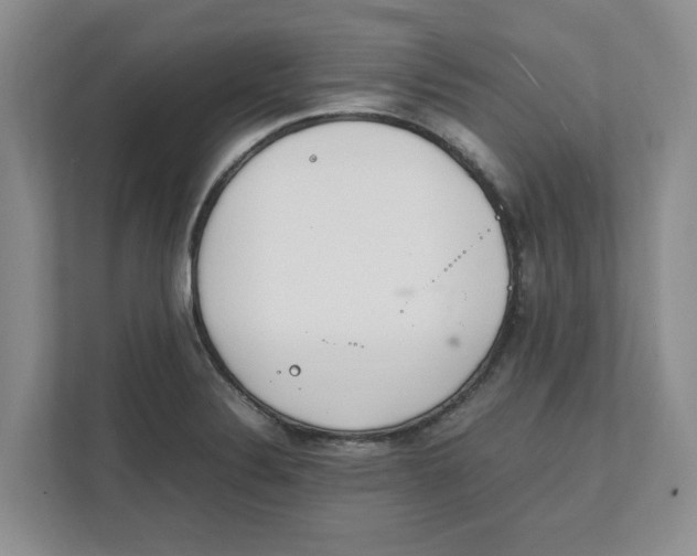 X0000111851324200908131431