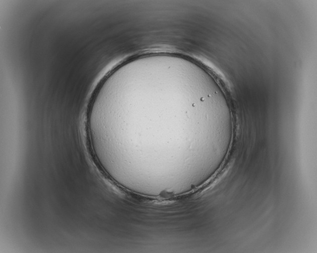 X0000111851325200908131431