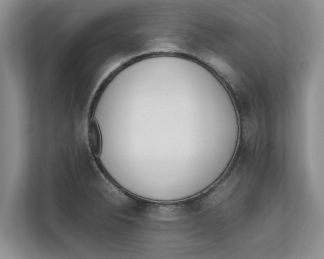 X0000111851326200908131431