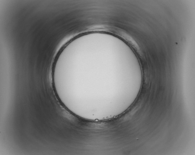 X0000111851328200908131431