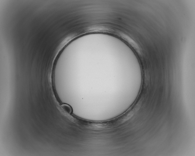 X0000111851330200908131431