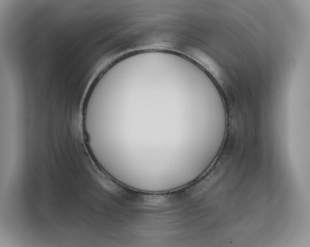 X0000111851332200908131431