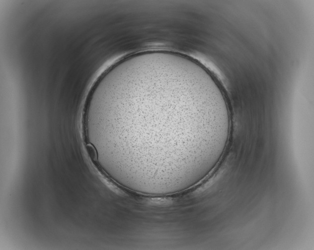 X0000111851333200908131431